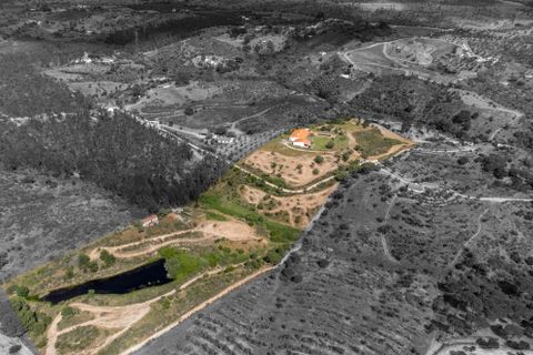 Finca i Avis, Portalegre, Avis - € 750.000 | Ref: 120121142213-73 - foto 31